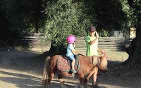 ... und auch die ganz Kleinen wagen einen Spaziergang.